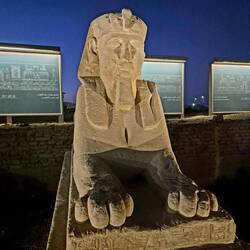 Sphinx - eine der wenigen gut erhaltenen der Sphingenallee, die Luxor mit Karnak verbindet