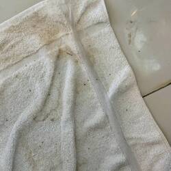 Boden des "Häuschen"