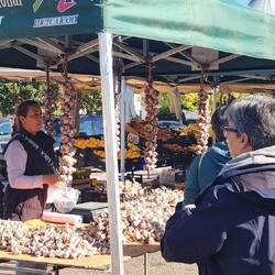Farmers' market