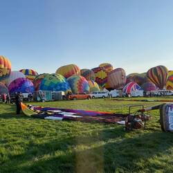 Some balloons begin set up and others partially ready to ascend