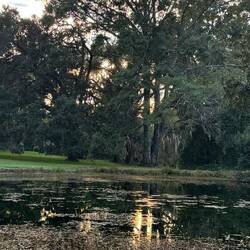Blick vom Schlafzimmer zum Teich