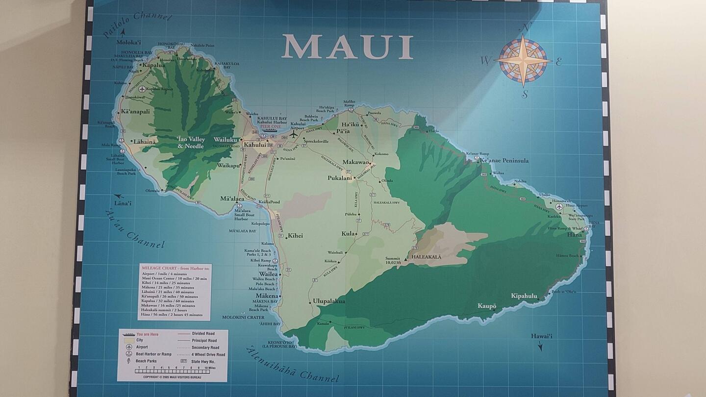 Aloha!