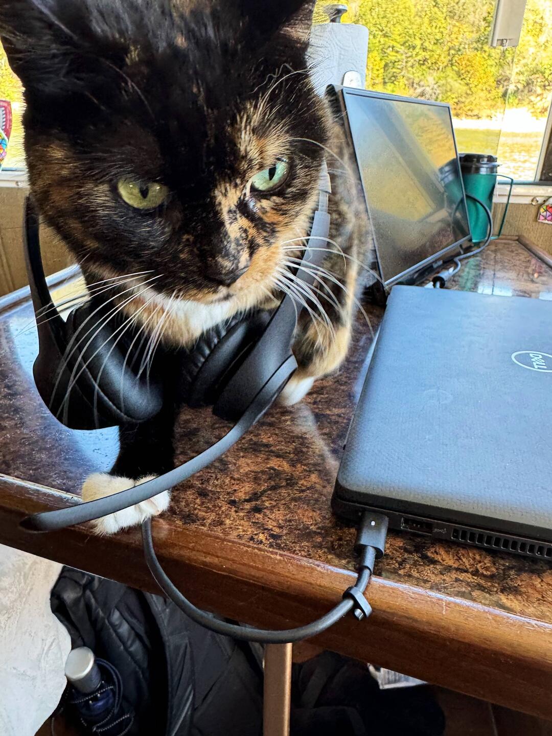 I guess she's getting ready for her afternoon conference call.