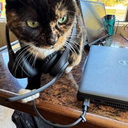 I guess she's getting ready for her afternoon conference call.