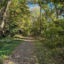 Pretty trail. And shady. High today was 83.