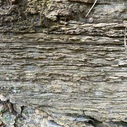 Layers of sandstone