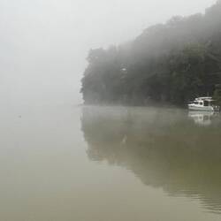 Some morning fog