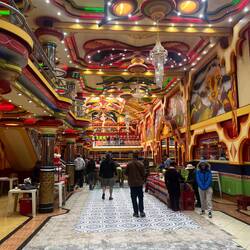 Hier geht's gleich die Post ab 🤼‍♀️