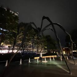 Spiderman
