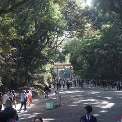 Meiji Walk