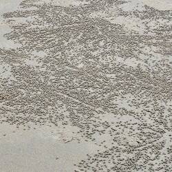 More 'crab art' 😂