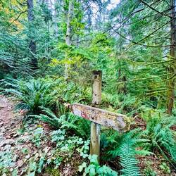 Zurück nahm ich noch einen anderen Trail - soll ja nicht langweilig werden 😜