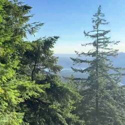 Wunderschöner Ausblick
