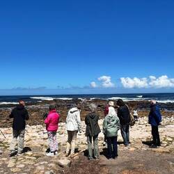 Cape Point