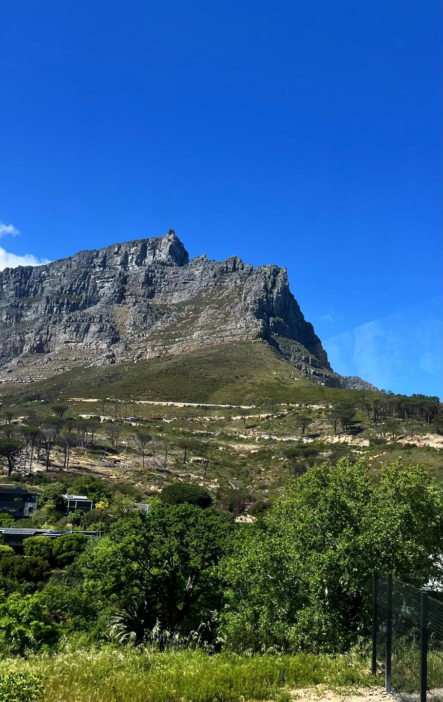 Wir wollen auf den Tafelberg