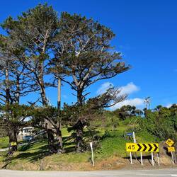 Oberhalb von Ōmāpere