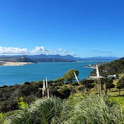 Oberhalb von Ōmāpere