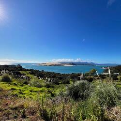 Oberhalb von Ōmāpere