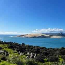 Oberhalb von Ōmāpere