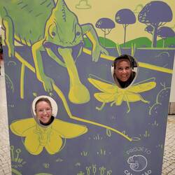 Wir fliegen nach Hause 🦟🦋🐛