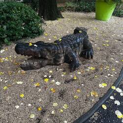 Modern dinosaur: city emblem of a crocodile