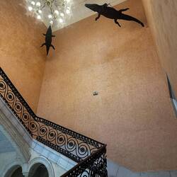Stairwell and crocodiles leading to the mayors office, coincidence? I think not!