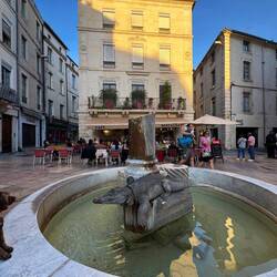 Crocodile fountain by city hall