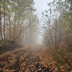 Herbstspaziergang im Ätnapark
