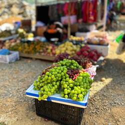 So schöne und riesige Trauben