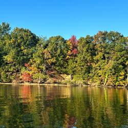 Fall colors on Mill Creek