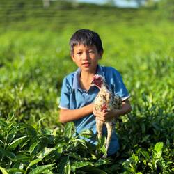 Der jüngste Sohn Bao An