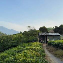 Der Speicher, wo aber auch geschlafen und gelebt wird...