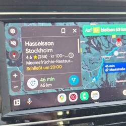 Fish and Chips für klasse burschen