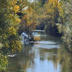 Rio Bernesga