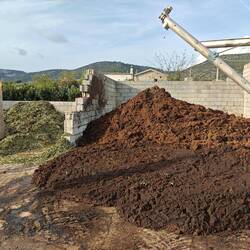 Trester und Blätter