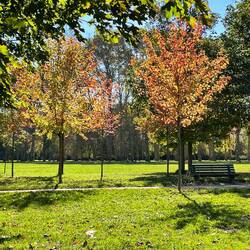 Such a beautiful park, especially on a sunny day