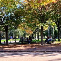 The park is just lovely and well used by the people of Lyon