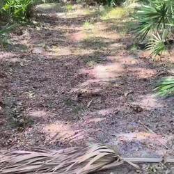 Mumpi should not have been this close but we all know there's no stopping him 😅