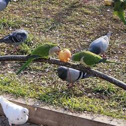 Andere profitieren mit. 🙂