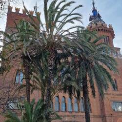 Das Schloss der drei Drachen.