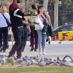 Einige versuchen hier verzweifelt, sich ein paar Euro zu verdienen.