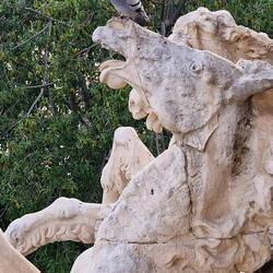 Die auf der Nase tanzt. 🤣