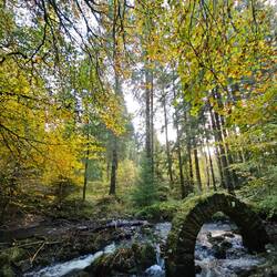 Jardins de Drumlanrig Castle