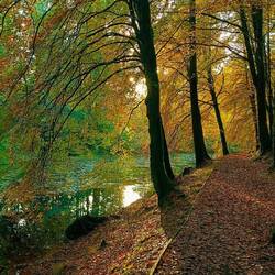 Parc du Château de Drumlanrig
