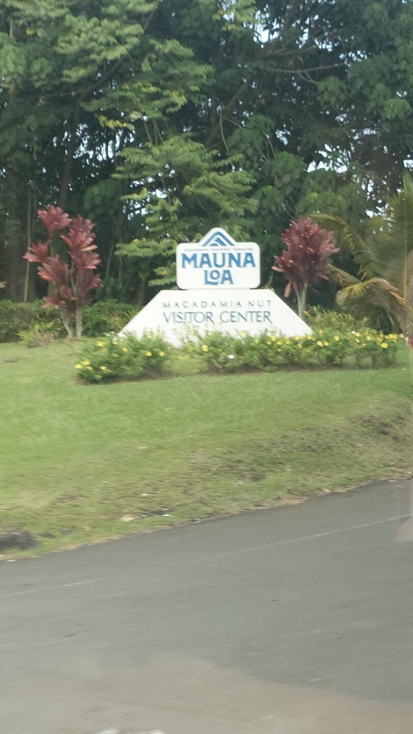 Macadamia Nutsfarm