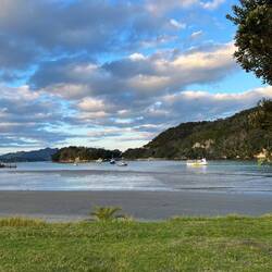 Whitianga Wharf