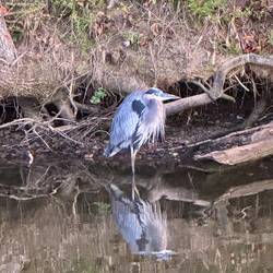 This guy spent the night right outside the boat