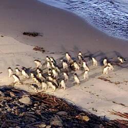 schnell den Strand überwinden