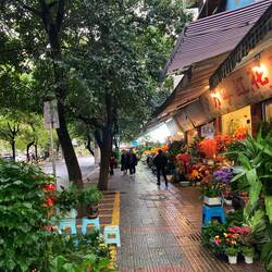 Blumenmarktstraße