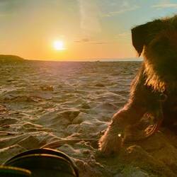 Ärger bekommen - Ausgebüxt & nicht gehört